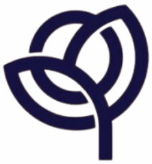 Cropped cropped فضة fadah brand design behance removebg preview.png